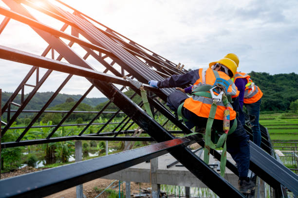 Best Metal Roofing Contractor  in Socorro, NM